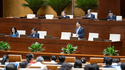 Thương mại điện tử bùng nổ trong kỷ nguyên số