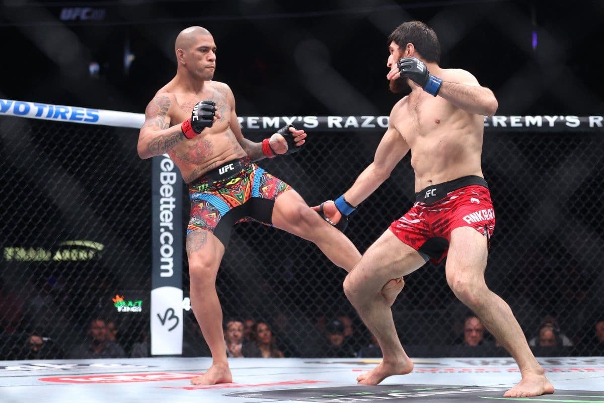 Alex Pereira đối đầu Magomed Ankalaev trong trận đấu UFC 313.