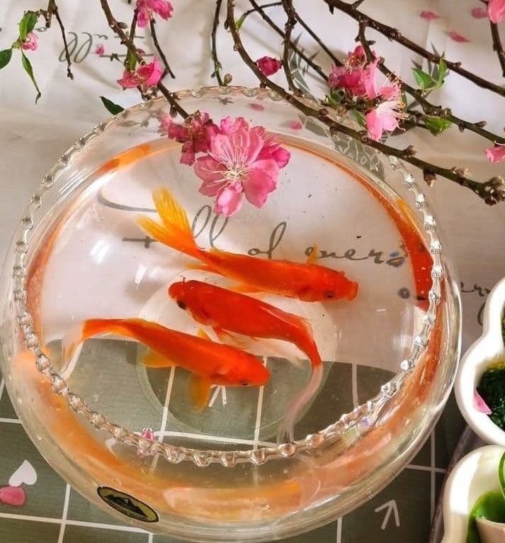 Ba con cá chép vàng bơi trong bát nước, tượng trưng cho phương tiện đưa Táo quân về trời báo cáo Ngọc Hoàng.