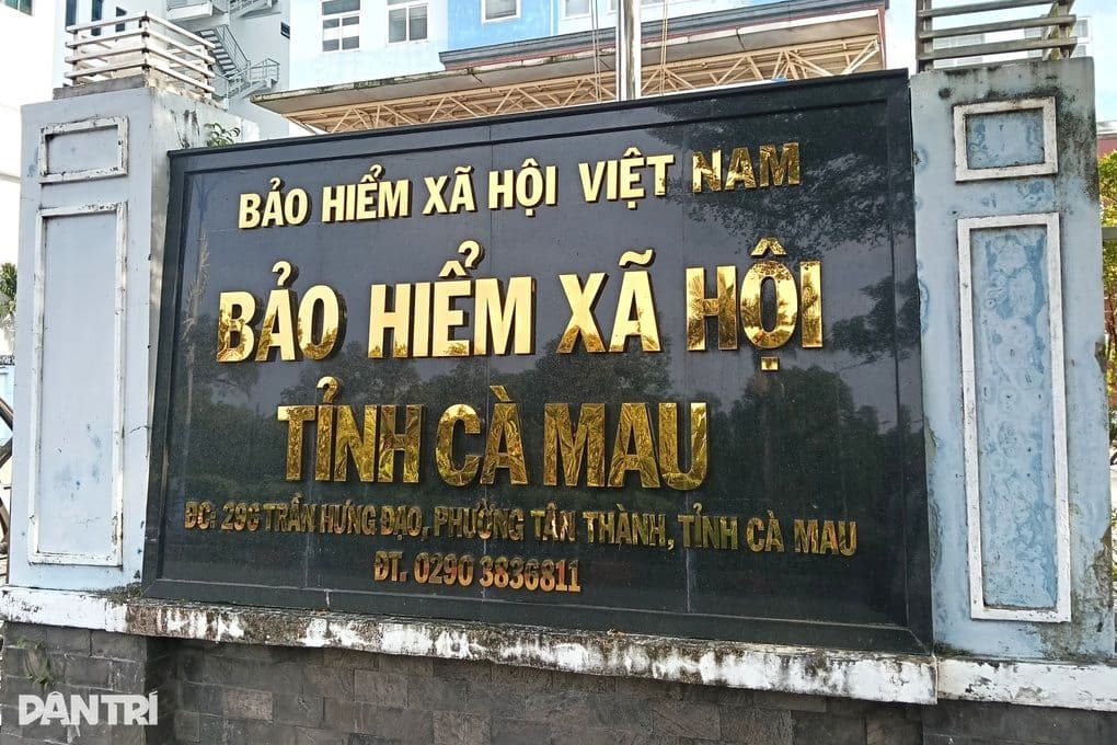 Biển hiệu Bảo hiểm Xã hội Việt Nam tỉnh Cà Mau, tượng trưng cho cơ quan BHXH bị lợi dụng trong các chiêu trò lừa đảo.