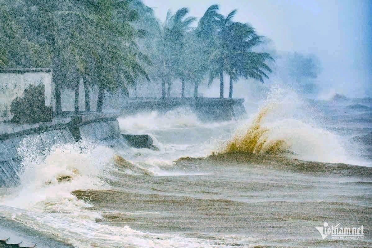 Biển Đông động dữ dội với sóng lớn và cây cối oằn mình trong bão.