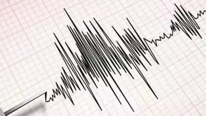 Biểu đồ địa chấn ghi lại rung chấn động đất, minh họa cho hoạt động địa chất liên tục ở Nhật Bản