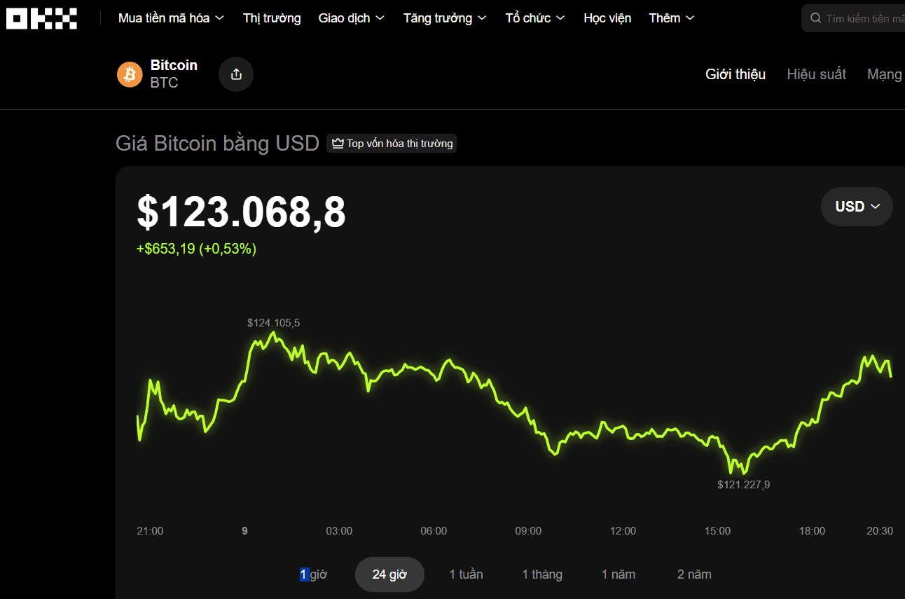 Biểu đồ giá Bitcoin bằng USD trên sàn giao dịch, hiển thị mức 123.000 USD và biến động trong 24 giờ