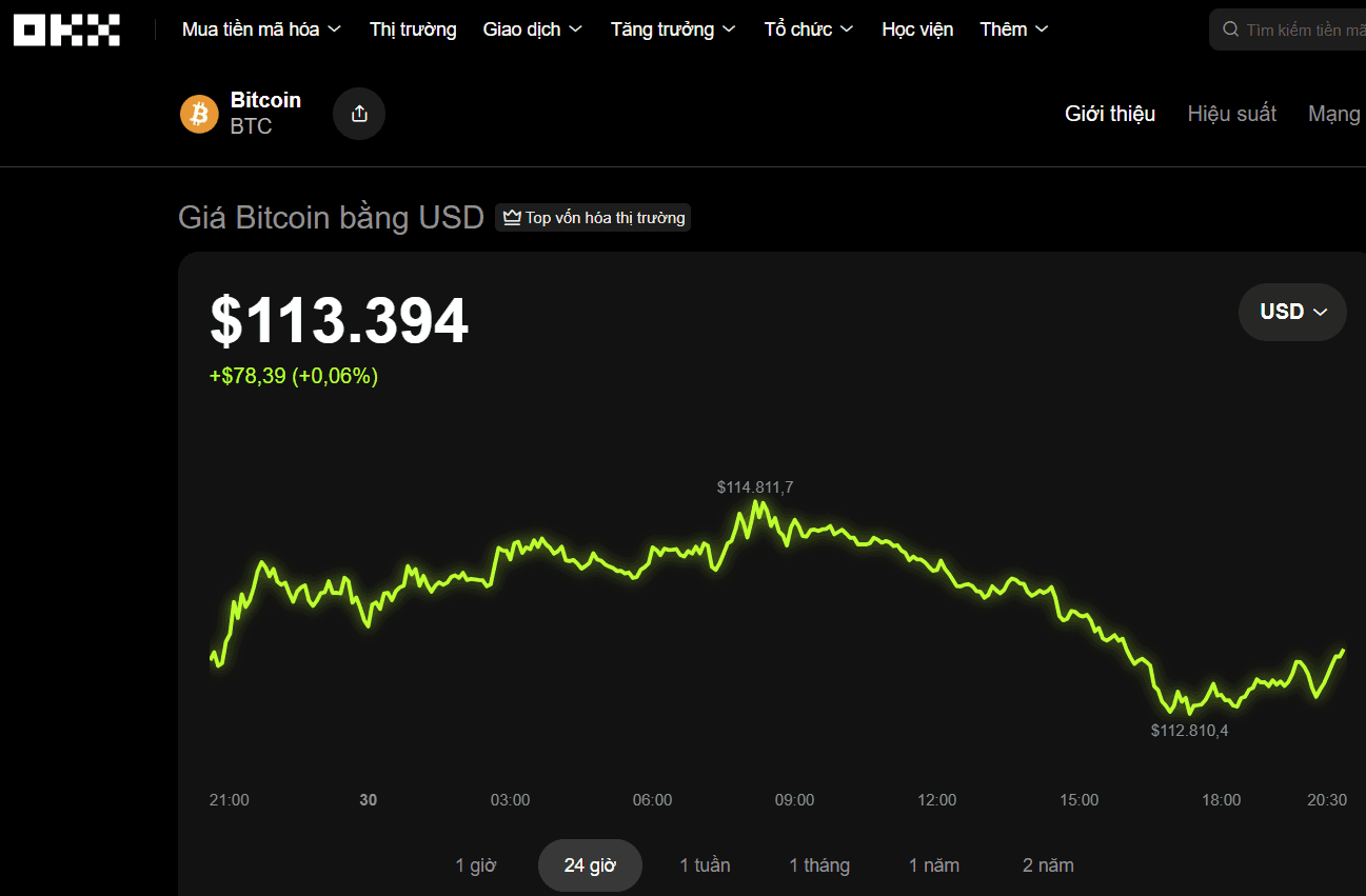 Biểu đồ giá Bitcoin trên sàn giao dịch, phản ánh sự biến động của thị trường tiền số và những tổn thất có thể xảy ra.