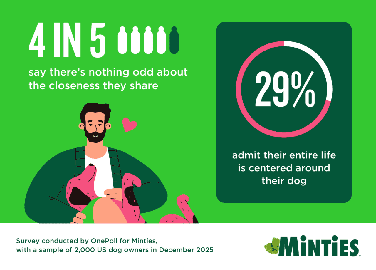 Biểu đồ thông tin minh họa 29% chủ nuôi thừa nhận cuộc sống của họ xoay quanh chó cưng.