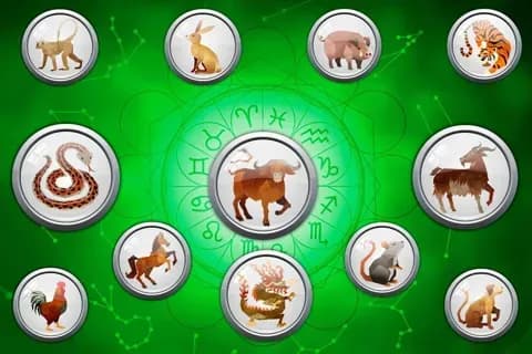 Biểu tượng 12 con giáp trên nền xanh lá cây với các ký hiệu tử vi, thể hiện góc nhìn truyền thống về vận mệnh.