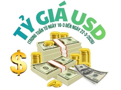 Biểu đồ và tiền đô la minh họa biến động tỷ giá USD