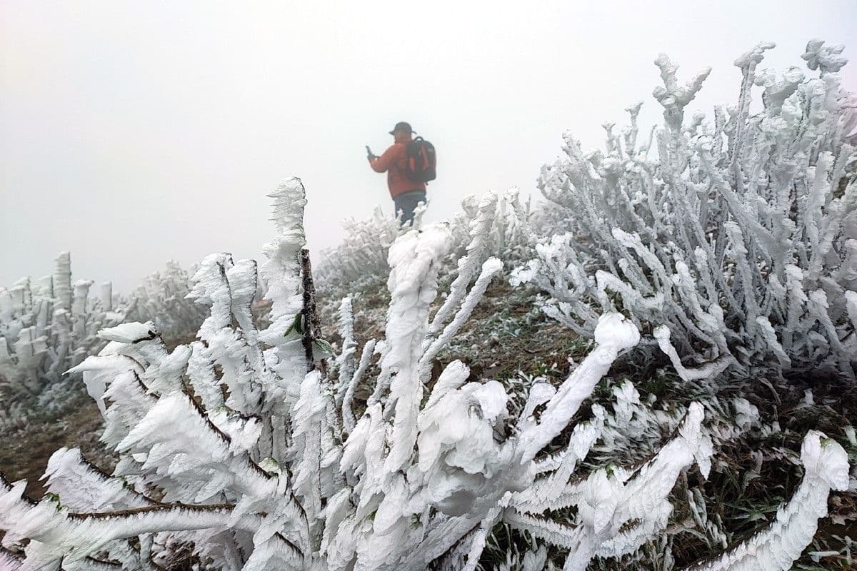 Bản đồ dự báo sương muối ở miền núi phía Bắc và mưa lớn ở Trung Bộ do không khí lạnh.