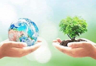 Bàn tay nâng đỡ trái đất và cây xanh, tượng trưng cho tín dụng xanh và phát triển bền vững trong ngành ngân hàng