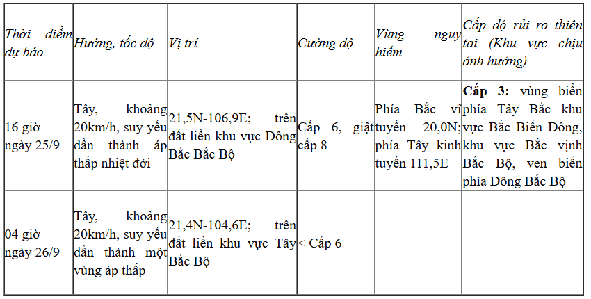 Bảng thông tin chi tiết về vị trí, cường độ và cấp độ rủi ro thiên tai của bão số 9.