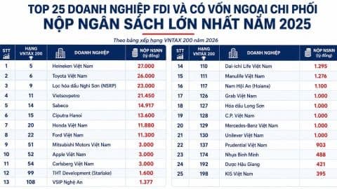 Bảng xếp hạng các doanh nghiệp FDI nộp ngân sách lớn nhất, thể hiện khả năng thích nghi và sức bền nội tại của các doanh nghiệp thành công.
