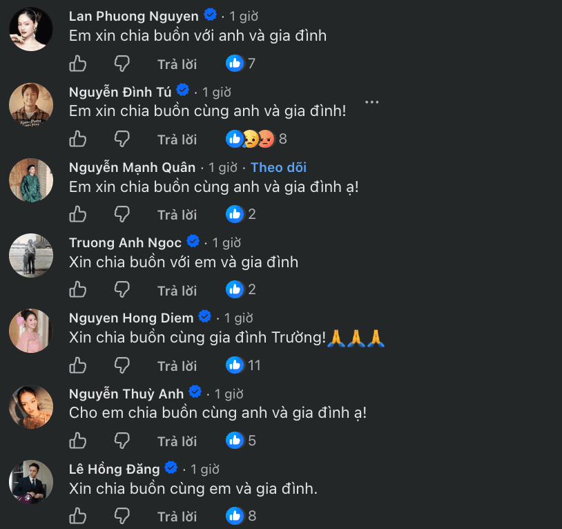 Bình luận chia buồn và động viên từ đồng nghiệp, khán giả gửi đến Mạnh Trường trên mạng xã hội.