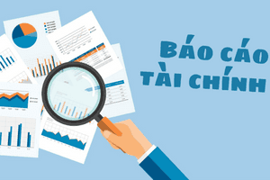 Báo cáo tài chính thể hiện gánh nặng nợ trăm tỷ và áp lực tài chính khổng lồ của Tập đoàn FLC.