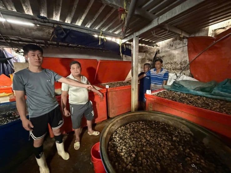 Cơ sở sơ chế ốc bươu quy mô lớn, nơi 3.000 tấn ốc được 'phù phép' bằng hóa chất công nghiệp