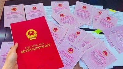 Các sổ đỏ (giấy chứng nhận quyền sử dụng đất) được đề nghị giải tỏa để khắc phục hậu quả vụ án Phúc Sơn, thể hiện việc thu hồi tài sản về tay Nhà nước.