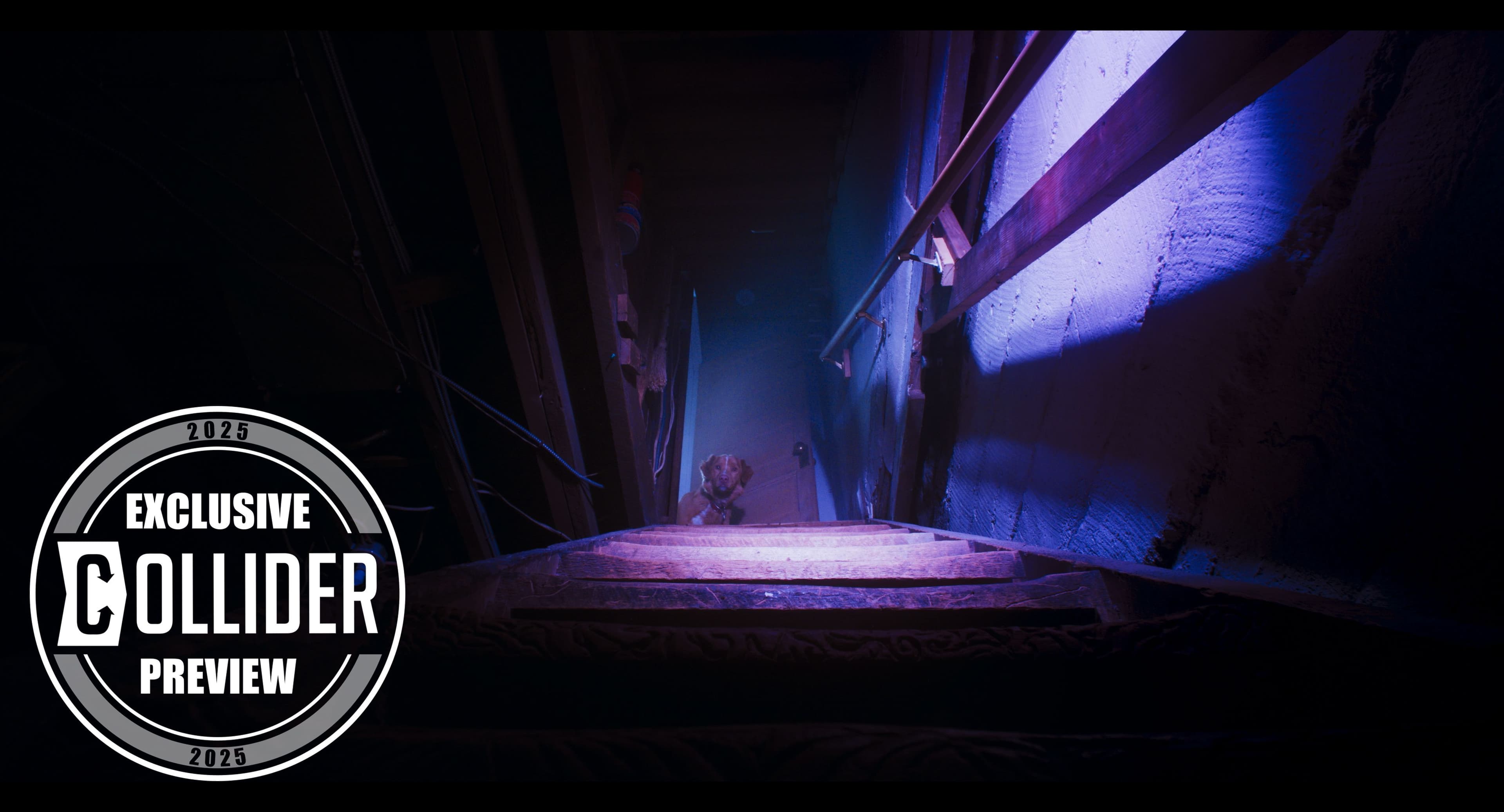 Chú chó Indy đứng trên cầu thang tối tăm trong ngôi nhà cũ, thể hiện vai trò người hùng bảo vệ chủ nhân khỏi thế lực tà ác trong phim 'Good Boy'.