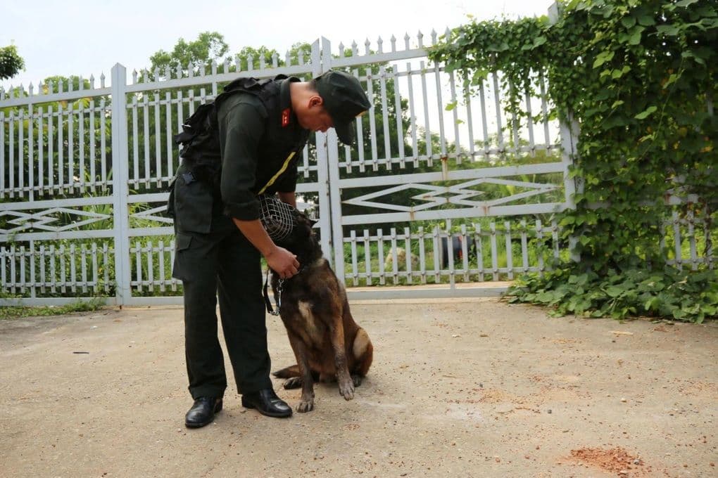 Cán bộ an ninh cùng chó nghiệp vụ kiểm tra an ninh tại điểm thi Tuyên Quang để đảm bảo công bằng