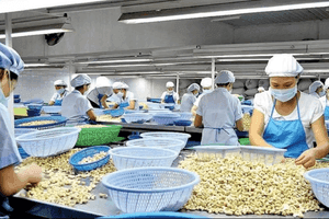 Công nhân đang làm việc trong nhà máy, tượng trưng cho các hộ kinh doanh cần công cụ hỗ trợ đơn giản để tuân thủ quy định.