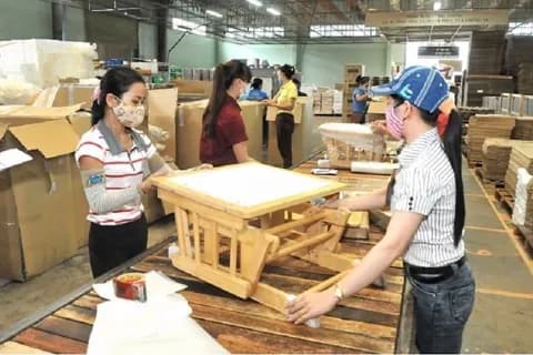 Công nhân đang làm việc trong nhà máy, tượng trưng cho hoạt động chế biến và chuỗi cung ứng trong ngành hồ tiêu.