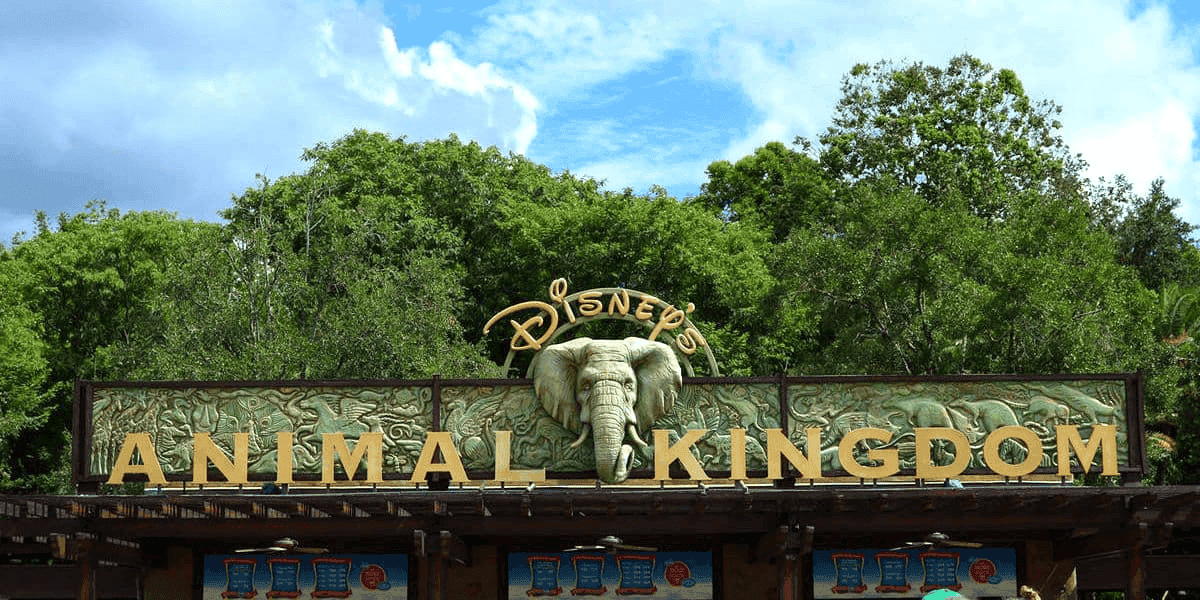 Cổng vào công viên Disney's Animal Kingdom, nơi diễn ra sự kiện Moonlight Magic độc quyền.