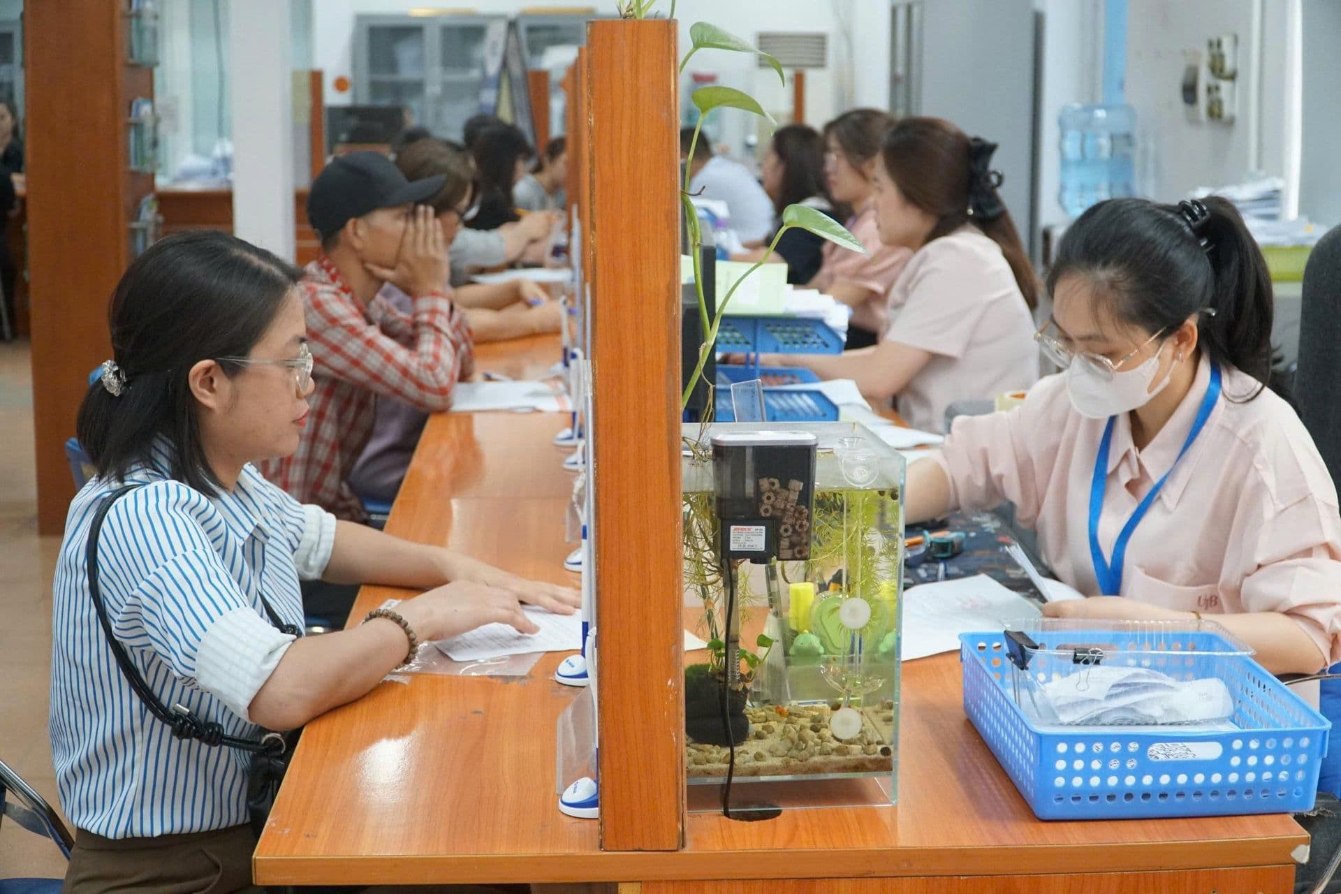 Cảnh nhân viên làm việc trong văn phòng, thể hiện môi trường công vụ nơi văn hóa "ký cho xong" và lỗ hổng thể chế có thể dẫn đến lãng phí.