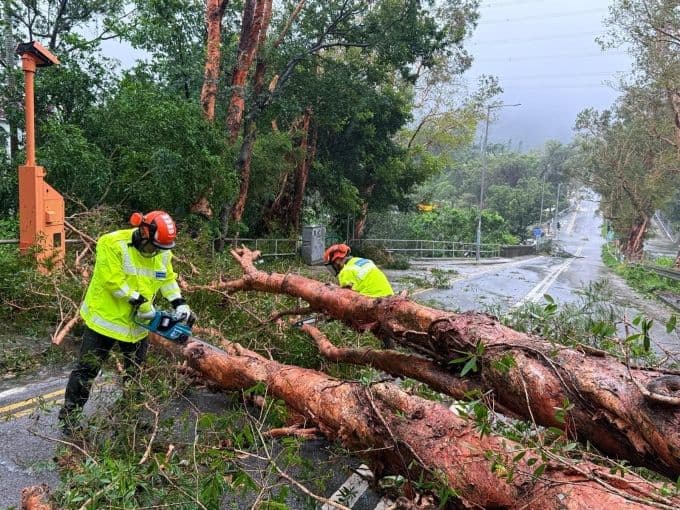 Cảnh sát Hong Kong dọn dẹp cây đổ sau bão Ragasa, thể hiện hành động ứng phó kịp thời