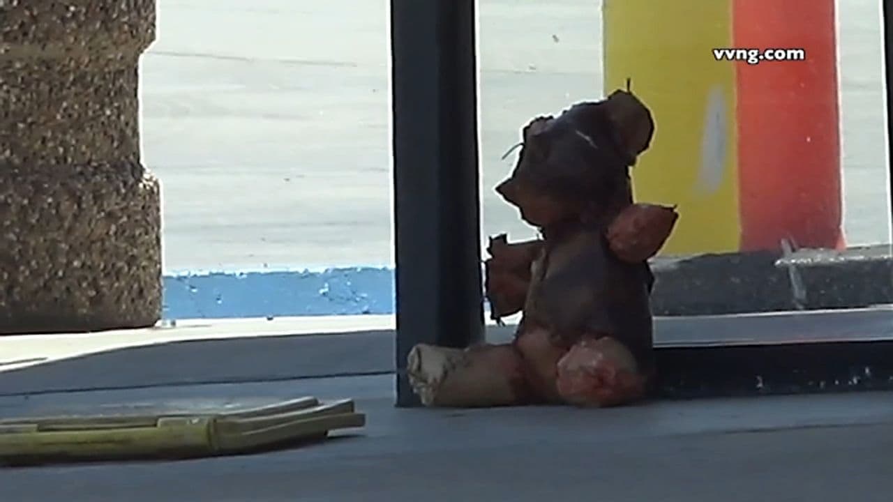 Con gấu bông kỳ lạ được làm từ da người tìm thấy ở Victorville, California.