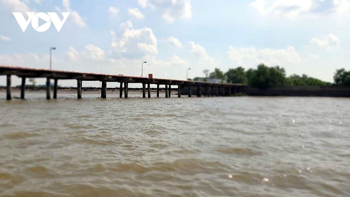 Cầu cảng tại Đồng Tháp, biểu tượng của quy hoạch đồng bộ và tầm nhìn phát triển đô thị bền vững.