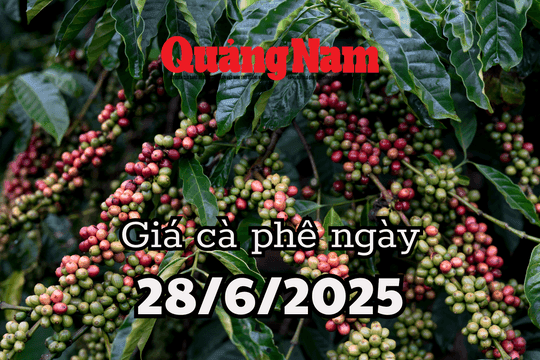 Cây cà phê với quả chín, tượng trưng cho sự đa dạng và biến động của các mặt hàng nông sản khác.