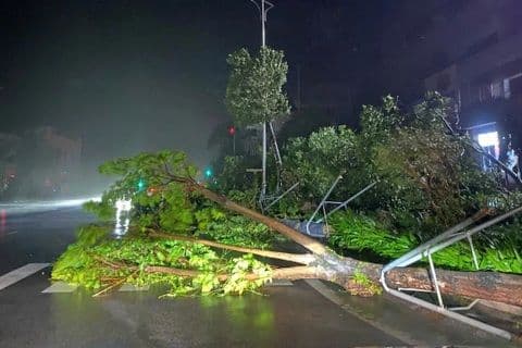 Cây đổ chắn ngang đường phố vào ban đêm do ảnh hưởng của bão, thể hiện hậu quả của thời tiết khắc nghiệt mà VOV Giao Thông cảnh báo.
