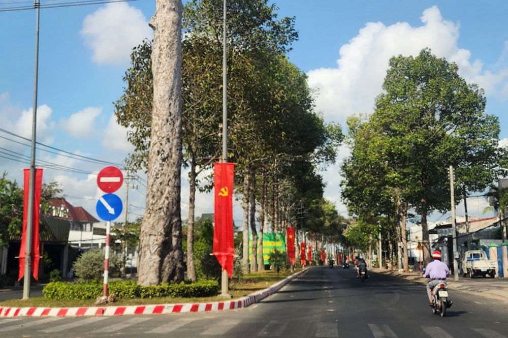 Dự án cây xanh đô thị, biểu tượng cho tài sản công bị thất thoát trong vụ án Cây xanh Công Minh