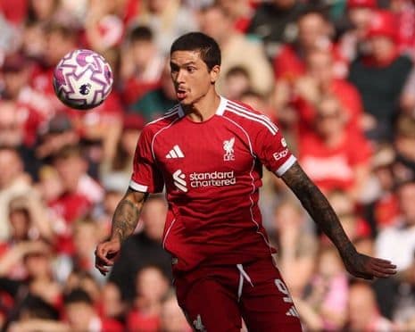 Darwin Núñez trong màu áo Liverpool trên sân cỏ