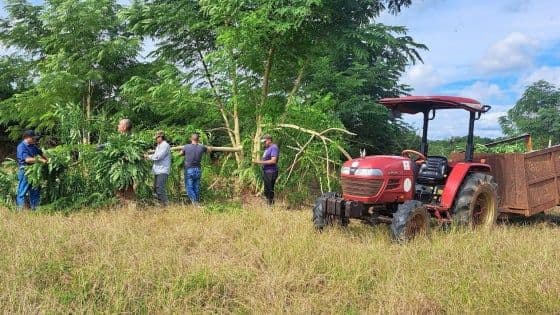 Dương Lệ Bình ngồi bên dòng suối, thể hiện sự kết nối với thiên nhiên