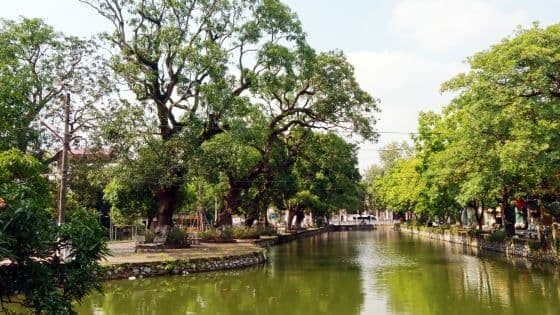 Dòng sông yên bình chảy qua hàng cây xanh tươi, tượng trưng cho 'rừng kiến thức' và sự thanh lọc thông tin để tìm lại sự rõ ràng.