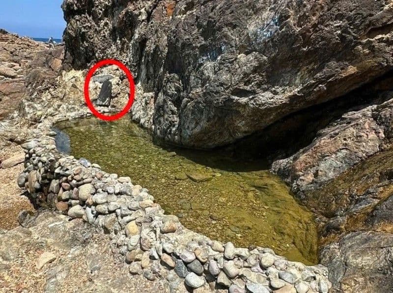 Giếng Tiên, mạch nước ngọt tự nhiên tại Gia Lai chưa được công nhận di tích