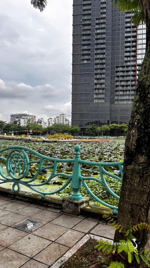 Hồ sen yên bình với tòa nhà cao tầng ở Hà Nội, biểu tượng cho cảnh quan đô thị cần được bảo vệ