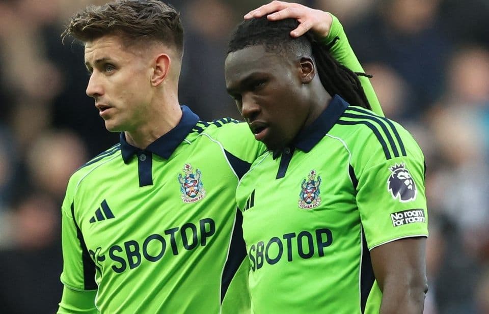 Hai cầu thủ Fulham trên sân cỏ trong trận đấu với Newcastle.