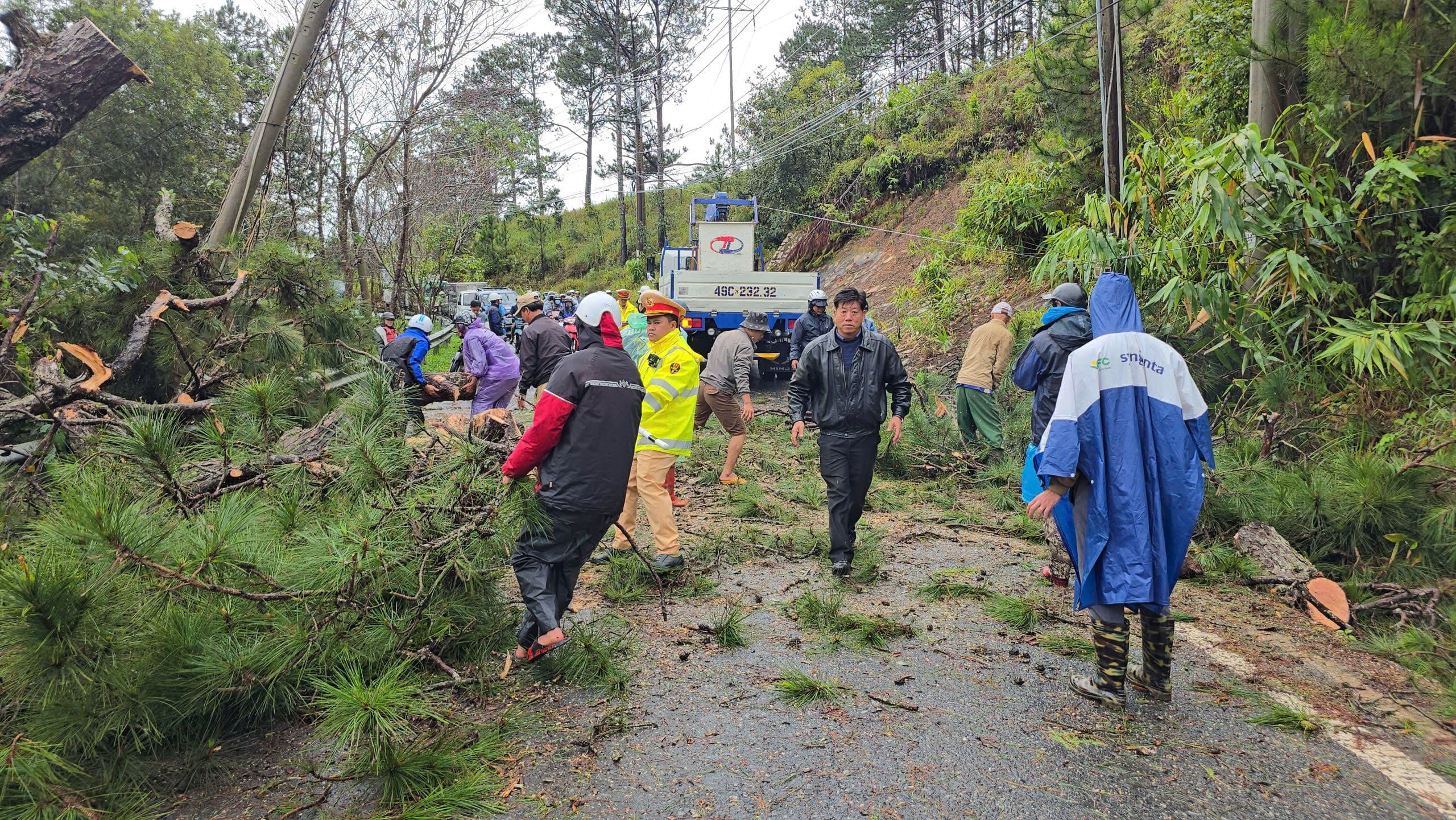 Hiện trường sạt lở nghiêm trọng tại đèo Prenn Đà Lạt, với cây đổ và lực lượng chức năng đang khắc phục hậu quả.