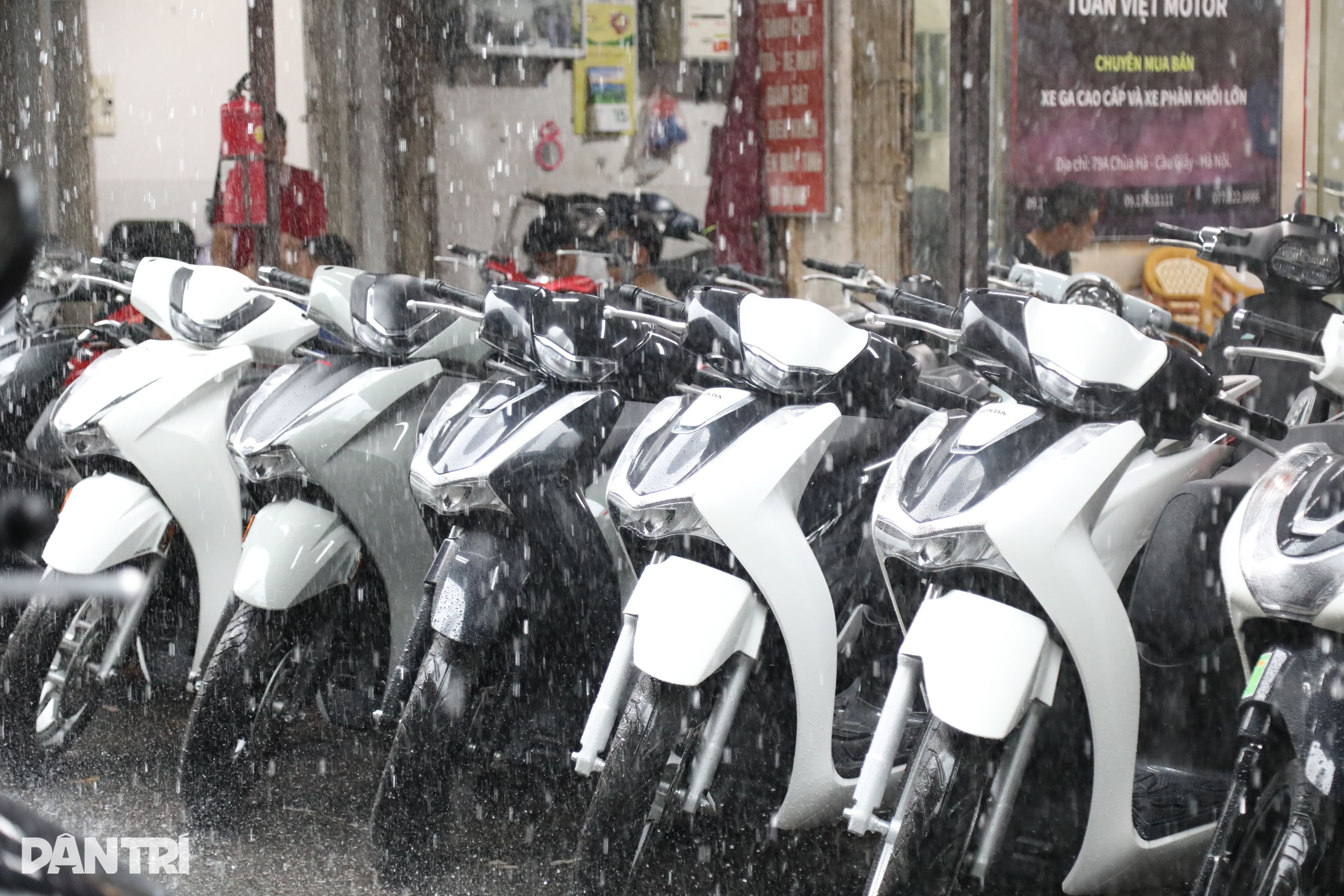 Hàng chục chiếc xe SH tồn kho tại chợ xe máy Hà Nội do chính sách "xanh hóa"