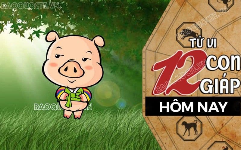 Hình ảnh chú heo hoạt hình và bánh xe 12 con giáp, minh họa việc khám phá số hộ mệnh riêng và lời khuyên ứng dụng cho từng con giáp.