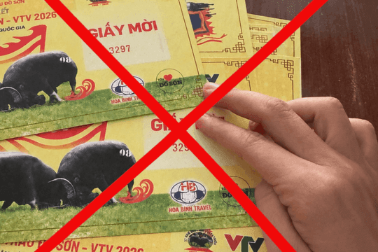 Hình ảnh giấy mời giả cho Lễ hội chọi trâu Đồ Sơn, minh họa thách thức về quản lý và an ninh.