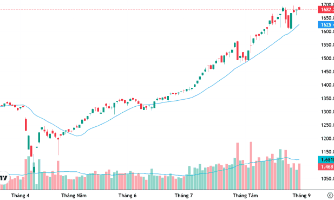 Hình ảnh minh họa một người đi lên các mũi tên tăng trưởng, tượng trưng cho chiến lược vượt bão và phát triển bền vững của doanh nghiệp.