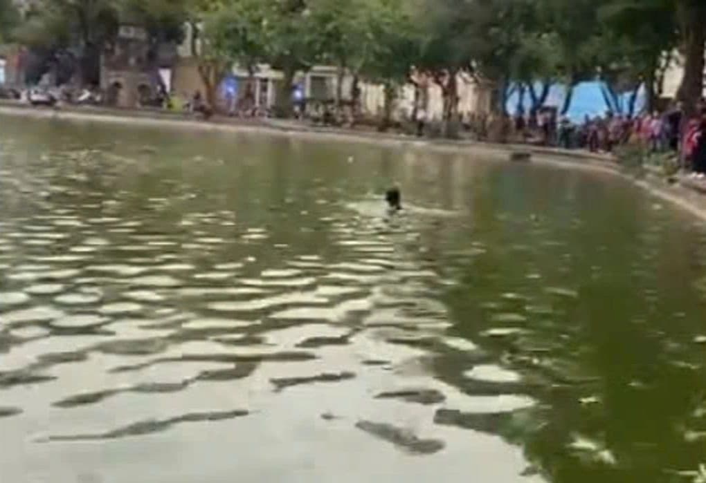 Hình ảnh một người dưới nước tại Hồ Hoàn Kiếm với nhiều người đứng nhìn trên bờ, liên quan đến vụ việc cô gái tử vong.