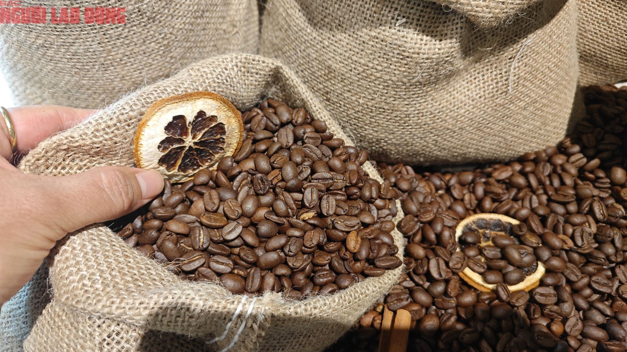Hạt cà phê rang trong bao tải, tượng trưng cho thị trường cà phê toàn cầu đang biến động mạnh.