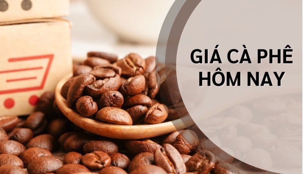 Hạt cà phê Robusta rang xay trên bàn gỗ với dòng chữ "Giá cà phê hôm nay", minh họa cho sự biến động giá cà phê Việt Nam.