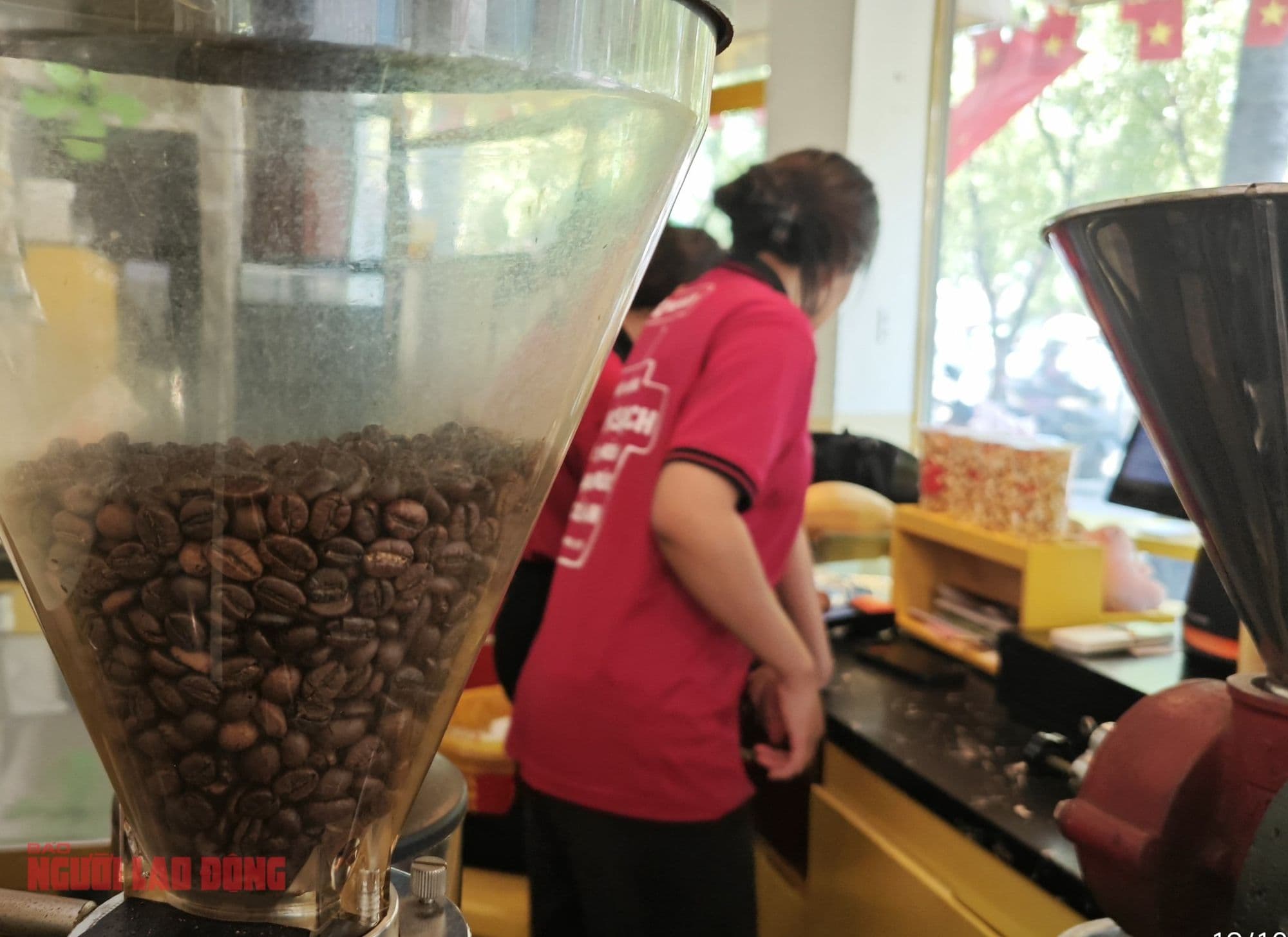 Hạt cà phê Robusta trong máy xay, biểu tượng cho thị trường cà phê Việt Nam đang đạt đỉnh giá mới.