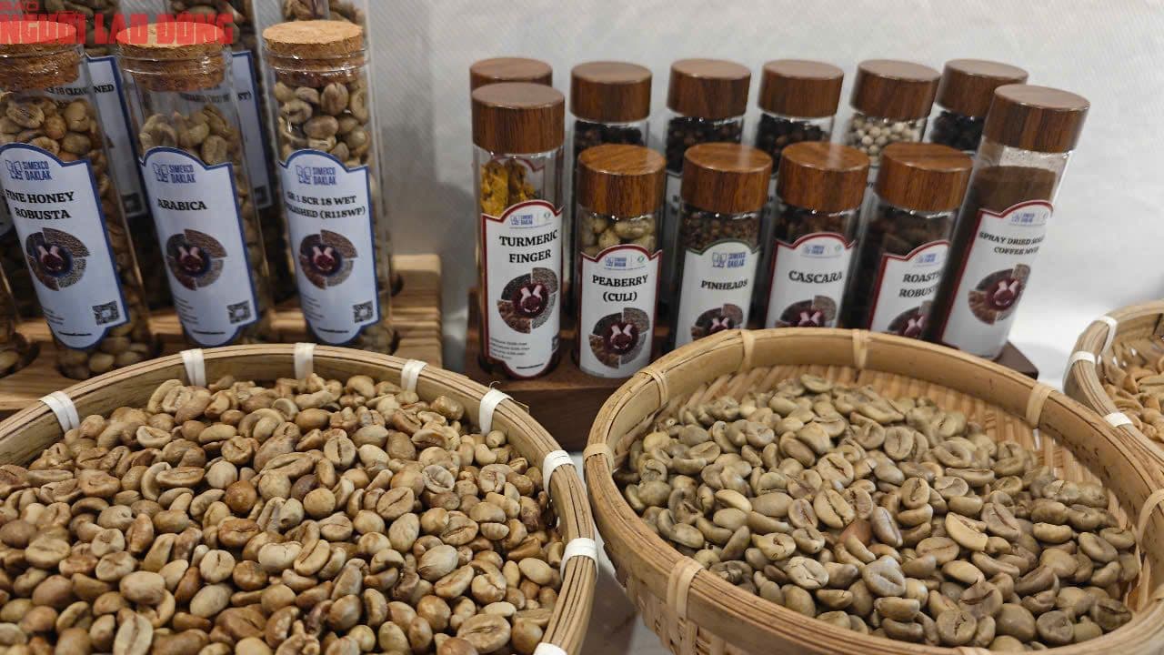 Hạt cà phê và sản phẩm, biểu tượng cho ngành cà phê Việt Nam trước quyết định lớn.