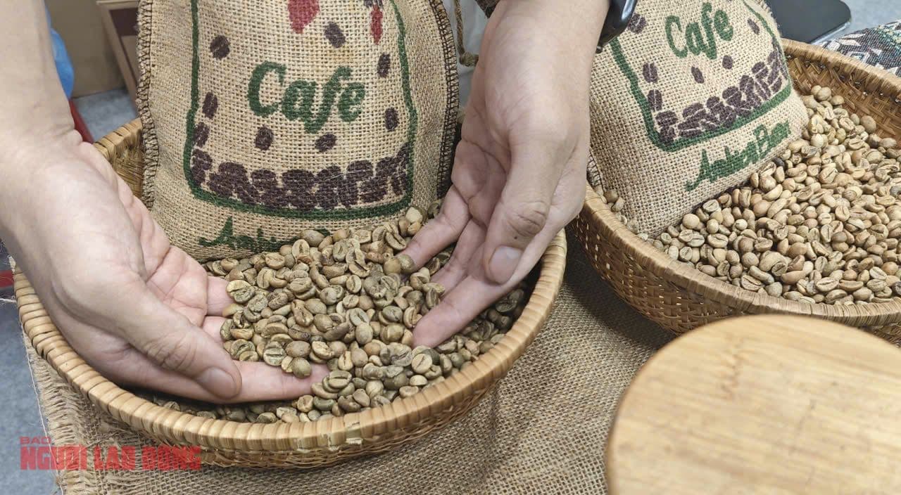 Hạt cà phê xanh trong giỏ, minh họa nguồn cung và kho dự trữ cà phê đang chịu áp lực