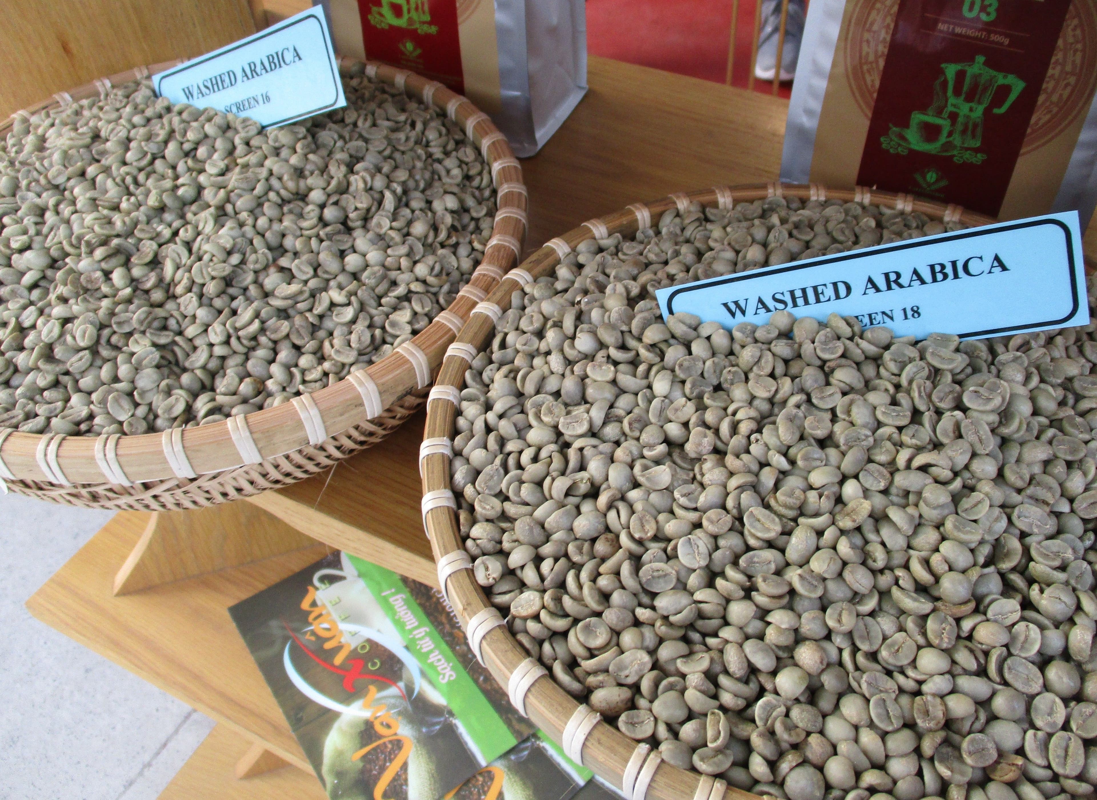 Hạt cà phê xanh trong rổ, tượng trưng cho sự biến động và những thay đổi khó lường của thị trường cà phê.