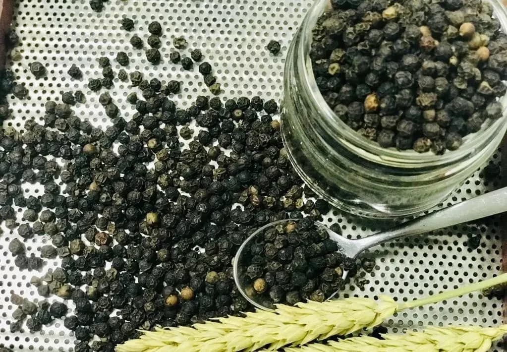 Hạt hồ tiêu đen trên khay và trong lọ, biểu tượng cho thị trường hồ tiêu biến động.